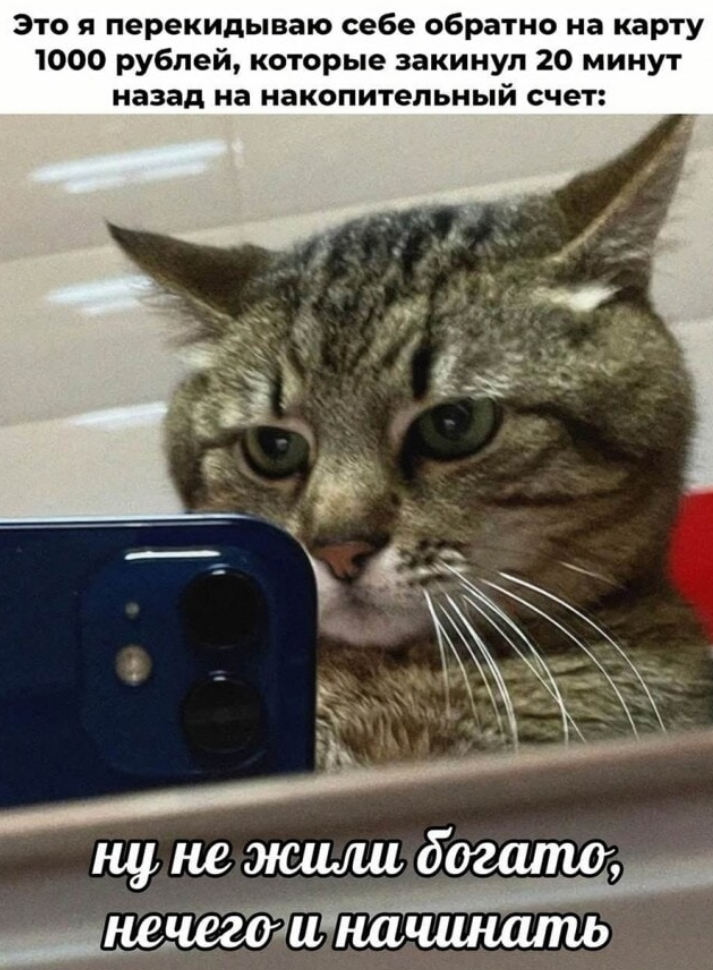 Investment